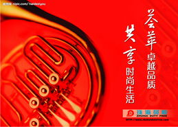 廣告設(shè)計(jì)藝術(shù)的視覺盛宴