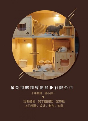 專屬于愛寵的溫暖港灣——全方位寵物服務(wù)公司介紹