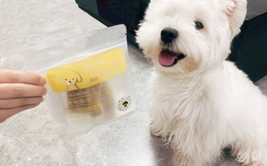 黑米先生 寵物行業(yè)創(chuàng)新品牌的用戶體驗與廣告設(shè)計啟示